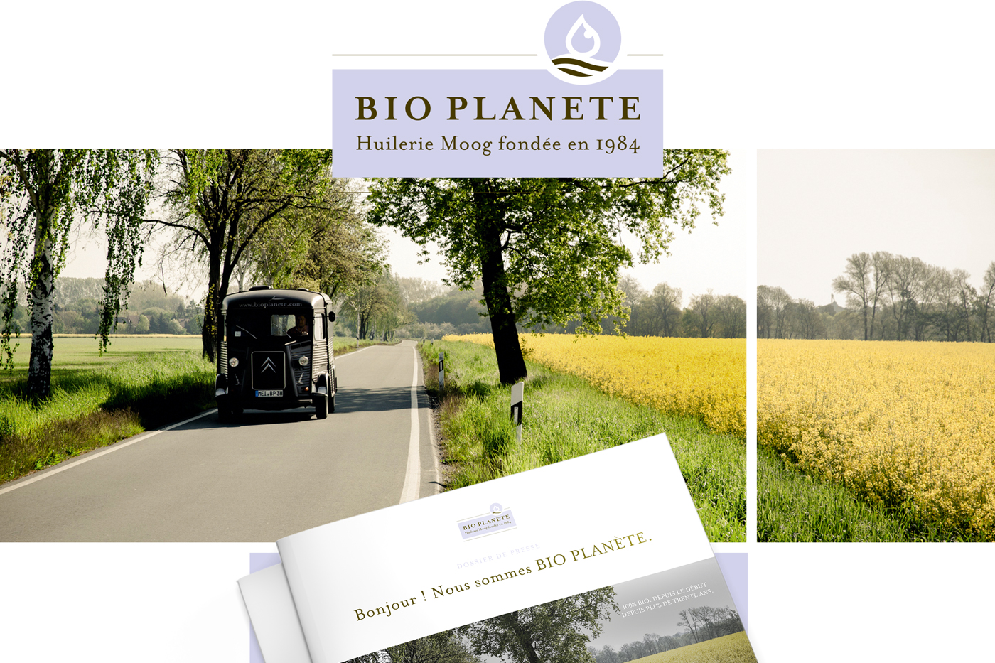 Grapefruit slice atop a pile of other slices