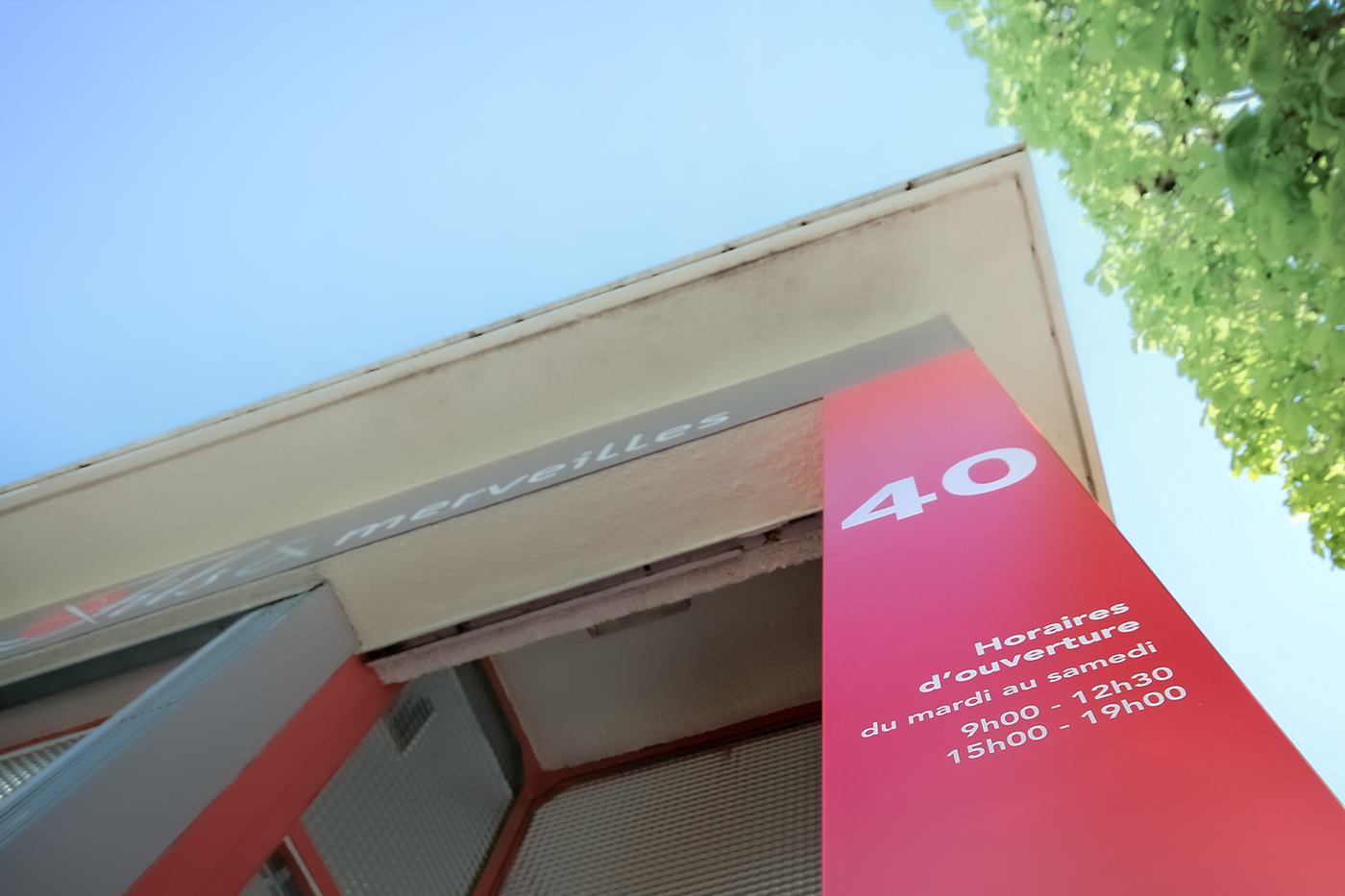 Grapefruit slice atop a pile of other slices