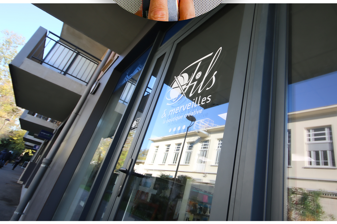 Grapefruit slice atop a pile of other slices